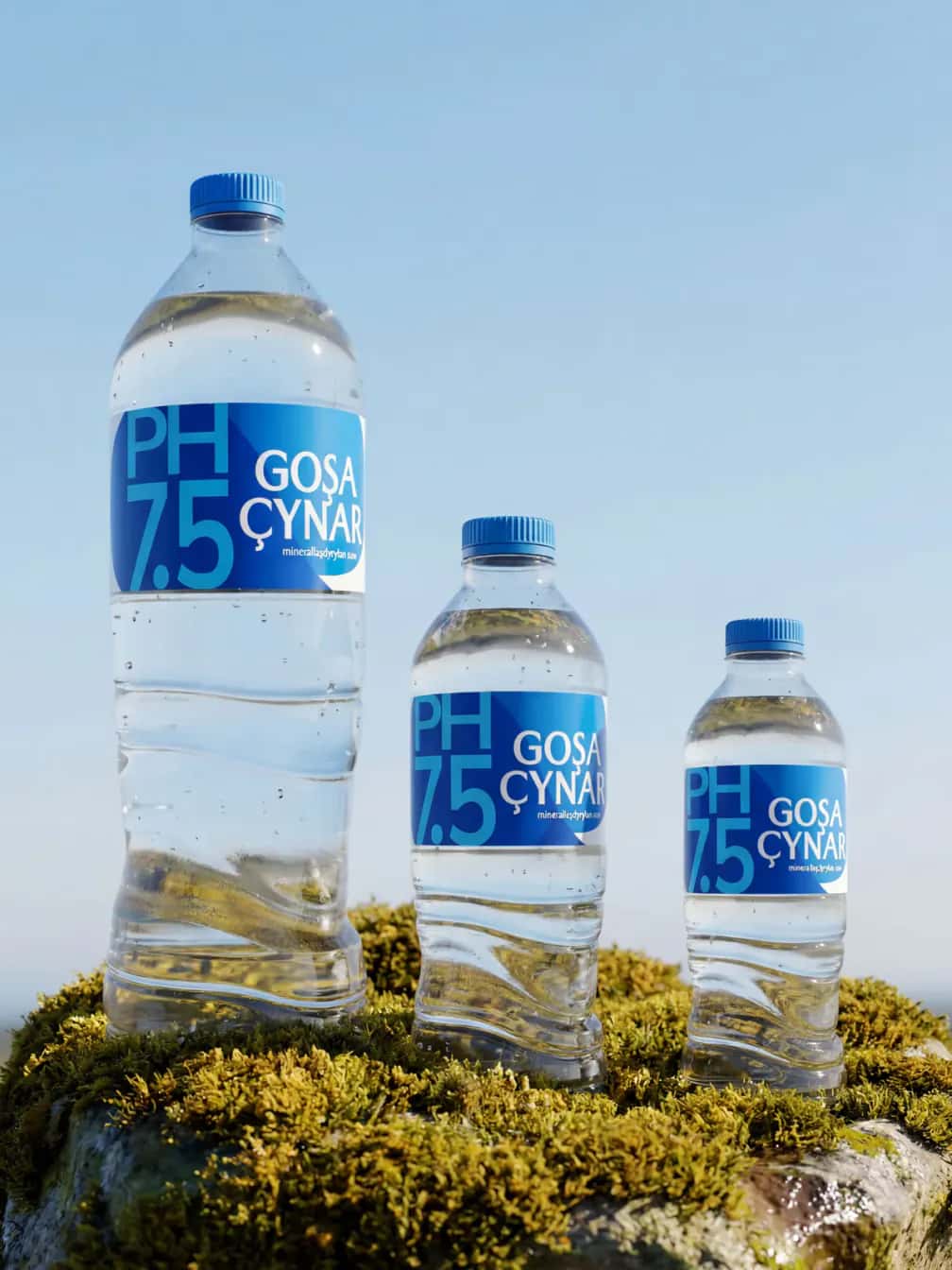 Goşa Çynar mineral water label — packaging design